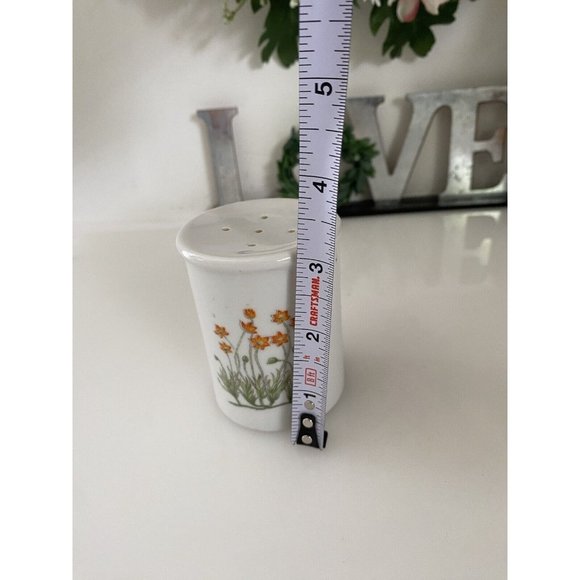 Takashi Ceramic Salt and Pepper Shakers‎ Orange Flowers - Picture 5 of 16